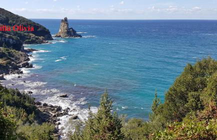 Villa Olivia - Photo 32