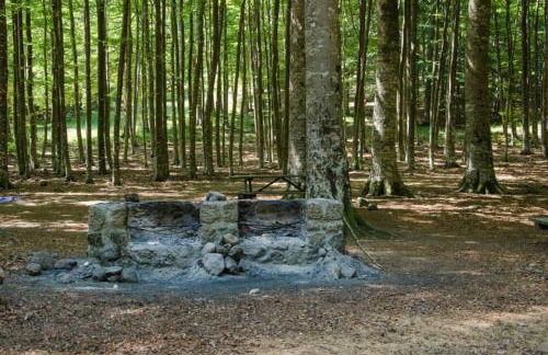 Casa del castorino - Foto 75