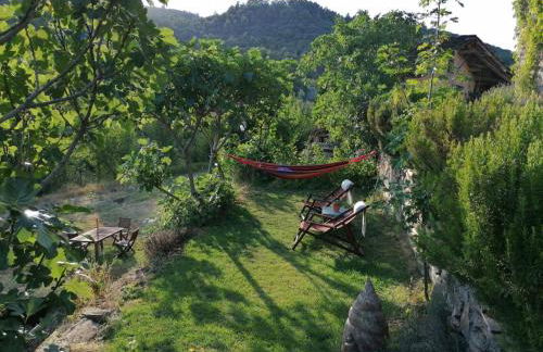 O Chardinet d'a Formiga - Foto 38