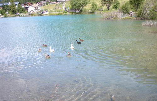 Residence Flora - Photo 37