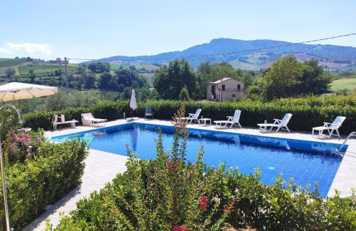 Le Vigne di Clementina Fabi - Foto 22