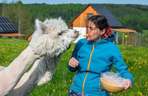 Pastelova Krova - domki w Bieszczadach - Foto 46