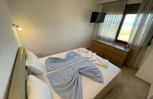 Theano Studios - Foto 73