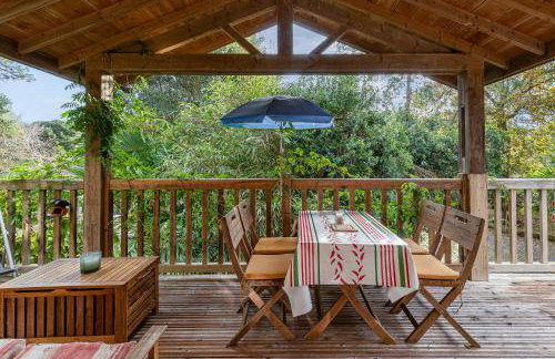 Les chats perchés 400m plage G - Foto 14