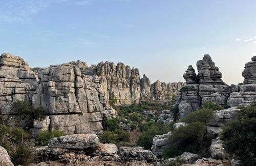 Casa Torre Hacho - Photo 21