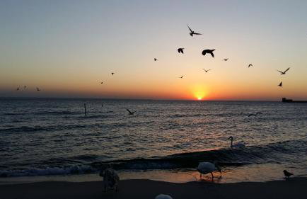 Hel Amber Apart - Foto 12