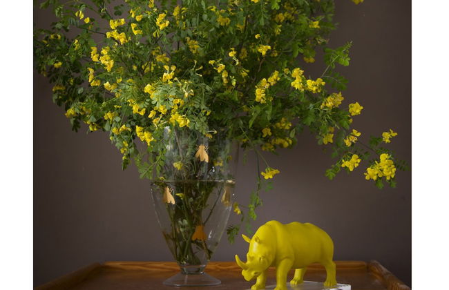 Art Apartment - Foto 17