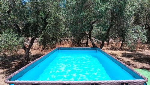 Casale Eucalipto - Foto 3