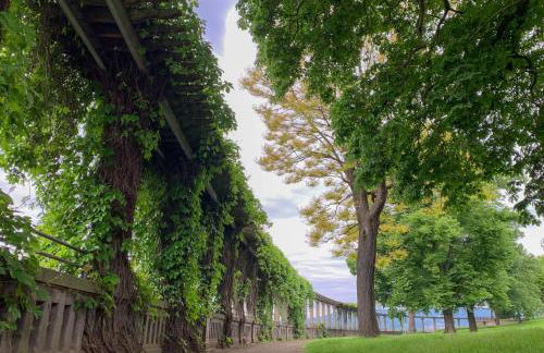 SOVA Guesthouse - Foto 30