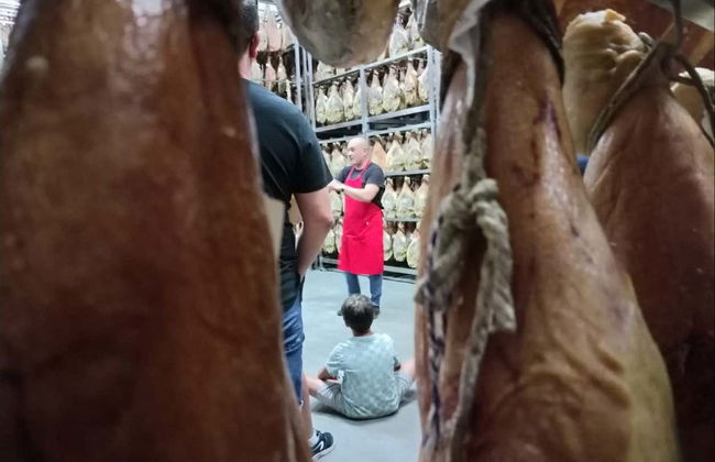 Visite d'un séchoir à jambons avec dégustation - Photo 5