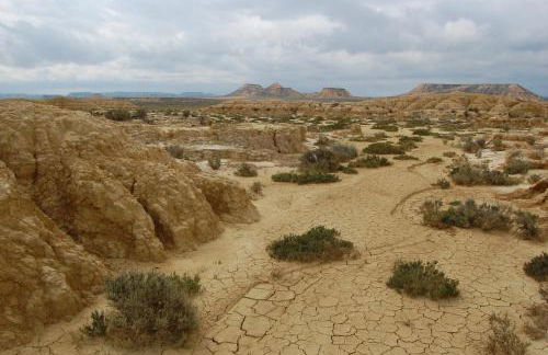Agroturismo "La Bardena Blanca II" - Foto 79