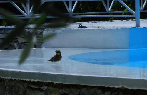 Gîte du Ranc de Figère - Photo 28