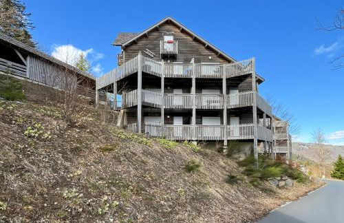 Chalet les Estives au pied des pistes, le lioran, terrasse, 2 chambres, 4 lits - Photo 23