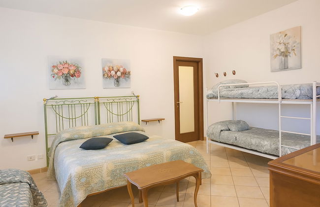 Artisti del Cavallo Tourism - Foto 4