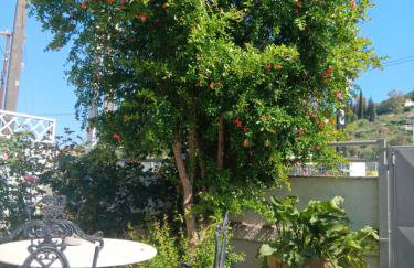 ΆΘΟΣ (ATHOS) - Foto 25