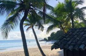 Casa de praia em Jurerê, Florianópolis - Photo 17