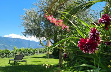 DAS MATSCHER Residence & Garden Hotel - Foto 40