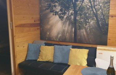 domki domek na jeziorem Wilczyńskim Budzisławskim , las, osobno ogrodzony 2-6 osób- klimatyzacja, ogrzewanie, 62-550 Zygmuntowo gm Wilczyn - Foto 40