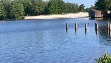 Linnis Strandhaus - Foto 4