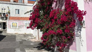 Casa Cor de Rosa - Foto 4