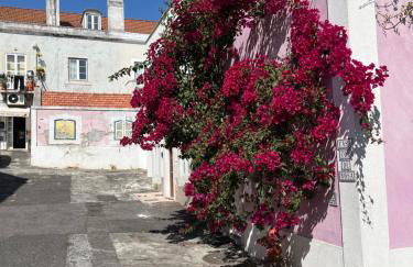 Casa Cor de Rosa - Foto 4