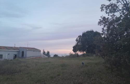 Etna 1928 Country House - Foto 77