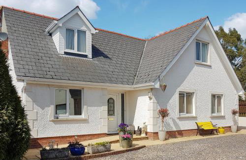 Rhosyn Gwyn - Foto 1