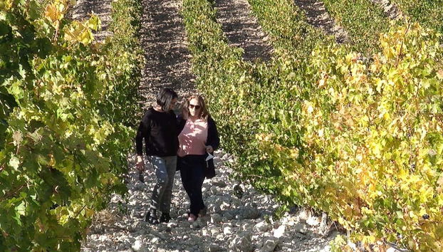 Quinta Sardonia Winery Visit - Foto 4