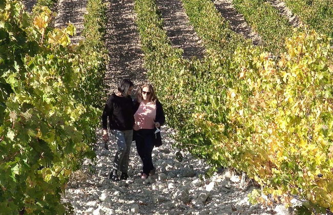 Visita a Quinta Sardonia - Foto 4