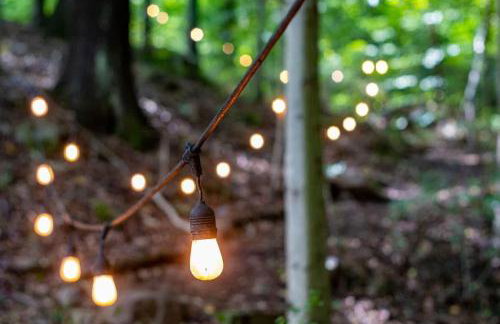 Treetop Hideaways: Luna Loft Treehouse - Foto 27