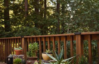 Russian Retreat - Foto 38