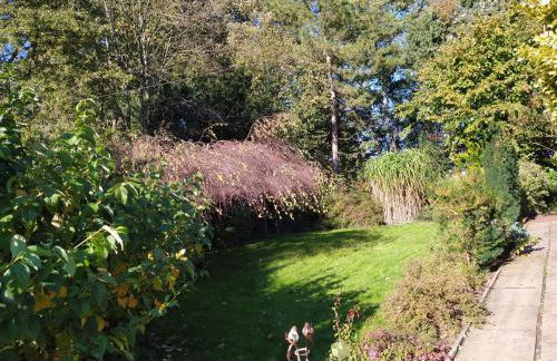 Mooroase Bauerngarten - Ovelgönne - Nordsee - Weser - Jade - Foto 4