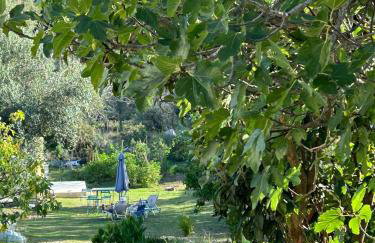 Nikos & Vivi Studios - Foto 13