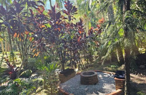 Um chalé e um riacho no meio da natureza - Foto 24