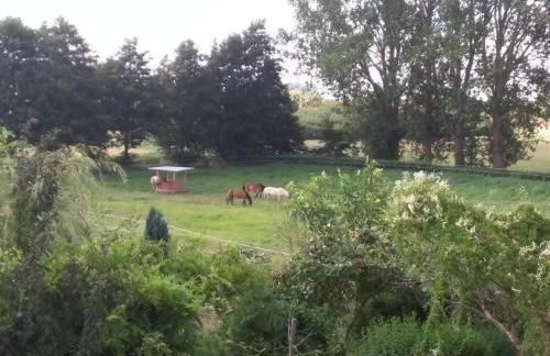 Apartment Schwalbennest by Interhome - Foto 38