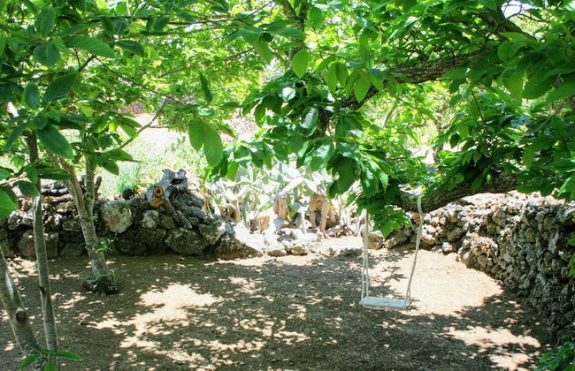 La Casa del Abuelito Julián en El Hierro - Foto 45