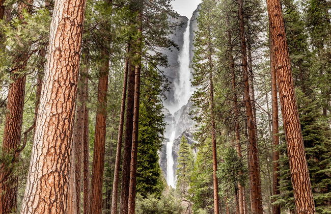 Tour de 4 o 6 días de San Francisco a Las Vegas finalizando en Los Ángeles - Foto 7