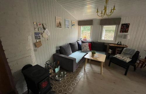 Modry Domek Sznurki Całoroczny Ogrodzony - Foto 28