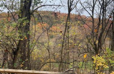 Woodland Oasis - Foto 11