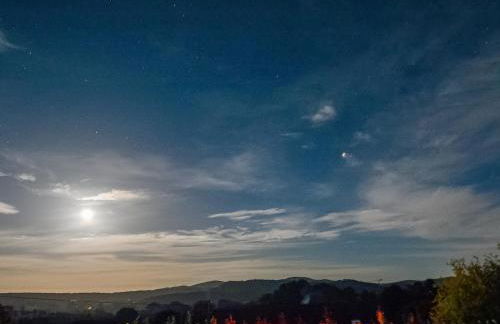 Fantasia - Uk46009 - Foto 35