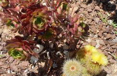 Casa dos Imos - Foto 50