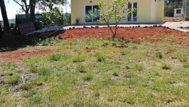 La casa dei fichi - Foto 3