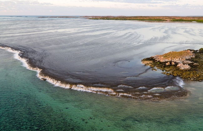 Cygnet Bay Pearls - Foto 32