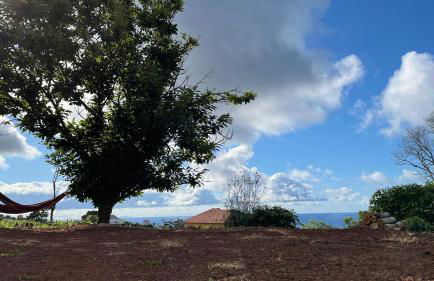 Biscoitos Top View - Photo 8