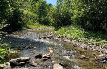 Wilczkiewiczówka - Bieszczadzki Azyl - Photo 8