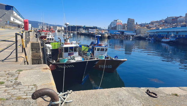 Tour por el puerto de Vigo + Visita a un vivero de marisco - Foto 2