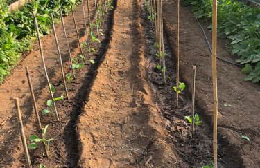 Agriturismo San Giusto - Foto 40