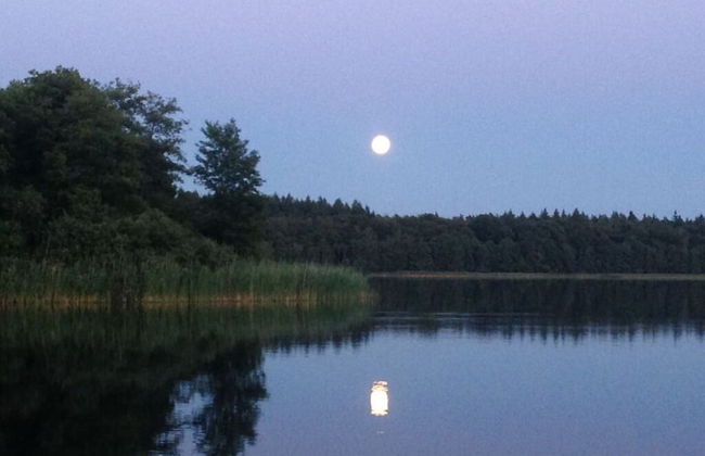 Schaalseehobbit Modern Retreat - Foto 17