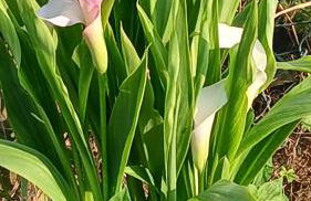 Ca' Giorgio - Foto 35