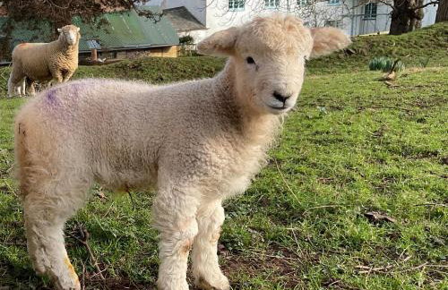 Aluric's Hall - Foto 40